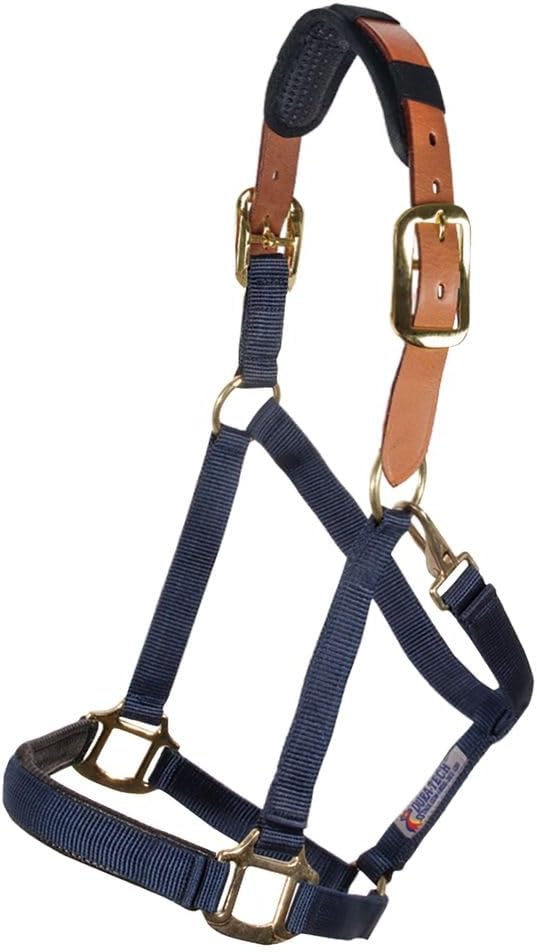 Schneiders Dura-Tech Comfort Plus Nylon Breakaway Halter for Horses | Padded Nose & Crown | Breakaway Leather Crown | Throat Snap | Adjustable Fit for All-Day Comfort