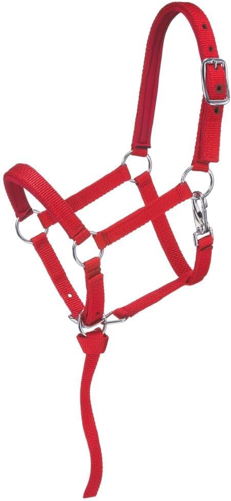 Tough 1 Nylon Padded Miniature Halter