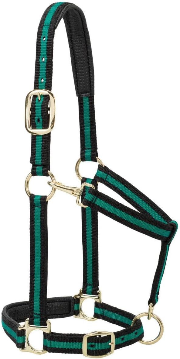 Weaver Leather Padded Adjustable Nylon Horse Halter, Green, 1″ Average Horse
