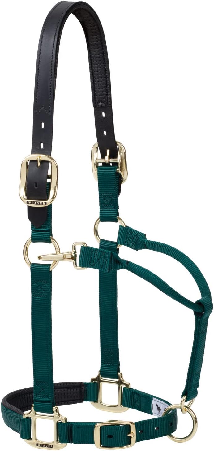 Weaver Equine Breakaway Horse Halter, Supple Leather Crown, Adjustable Brass Throat Snap Halters for Horses, Equine Tack