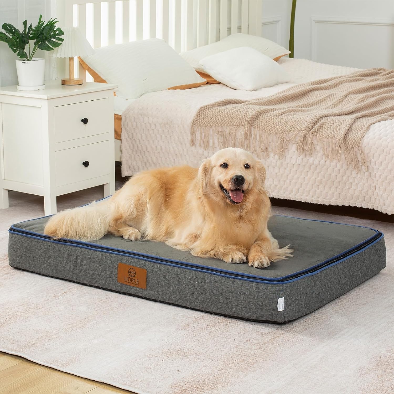 LIORCE Orthopedic Memory Foam XXL Dog Bed – 6″ Thick Beds for Extra Large Sized Dog – Waterproof Removable Washable Cover & Wrap-Around Zipper – Ultimate Comfort & Easy Maintenance, Dary Grey
