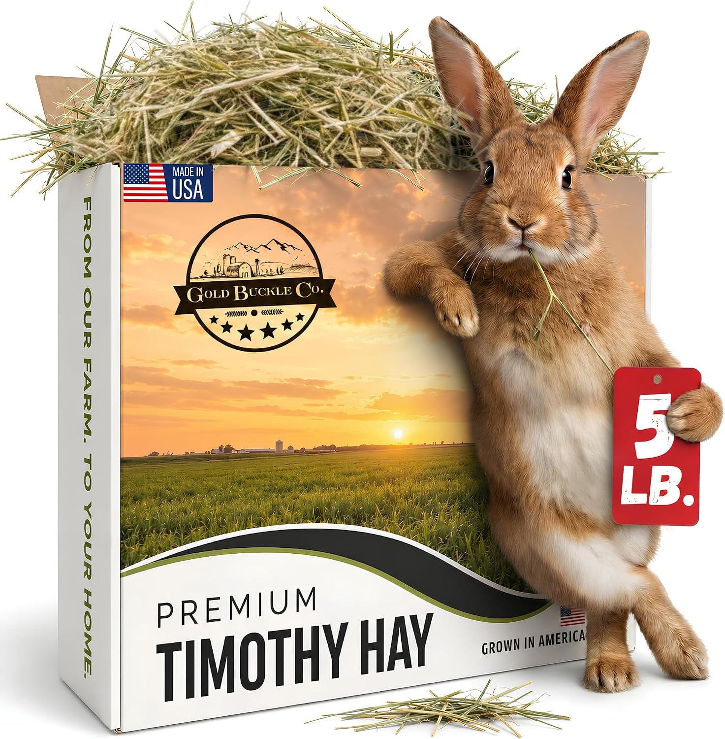 Premium Timothy Hay for Rabbits & Guinea Pigs – All Natural, USA Grown, 5lb