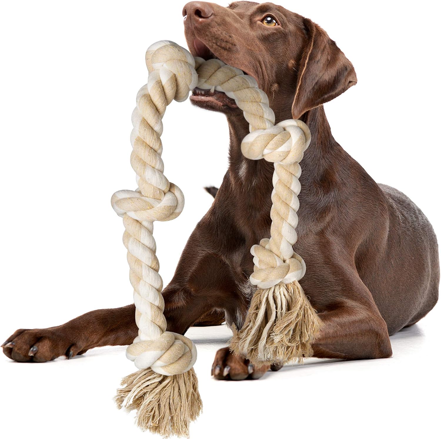 Fida Dog Rope Toys for Aggressive Chewers, Chew Toys for Large Medium Dogs