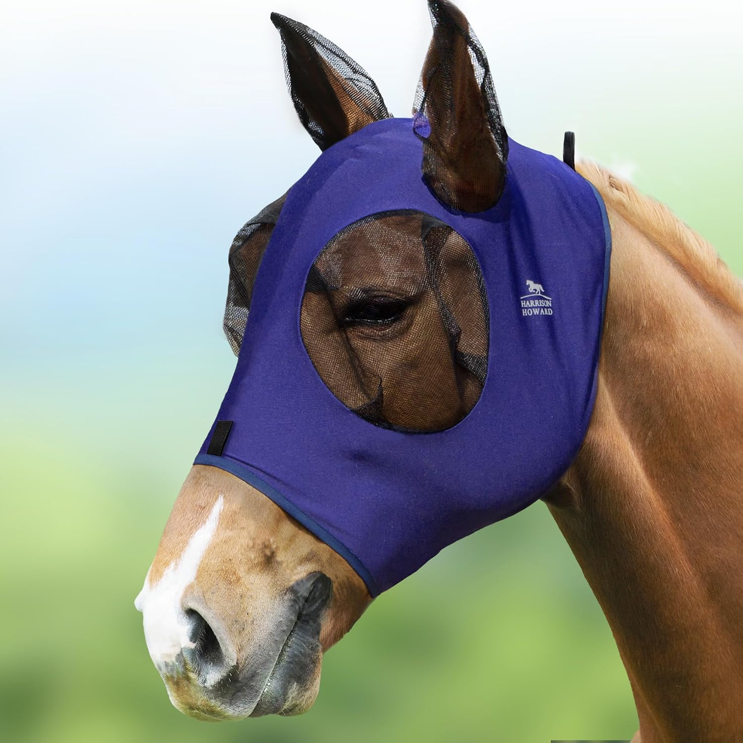 Harrison Howard Super Comfort Stretchy Fly Mask Large Eye Space with UV Protection Soft on Skin with Breathability Navy Blue L Full Size