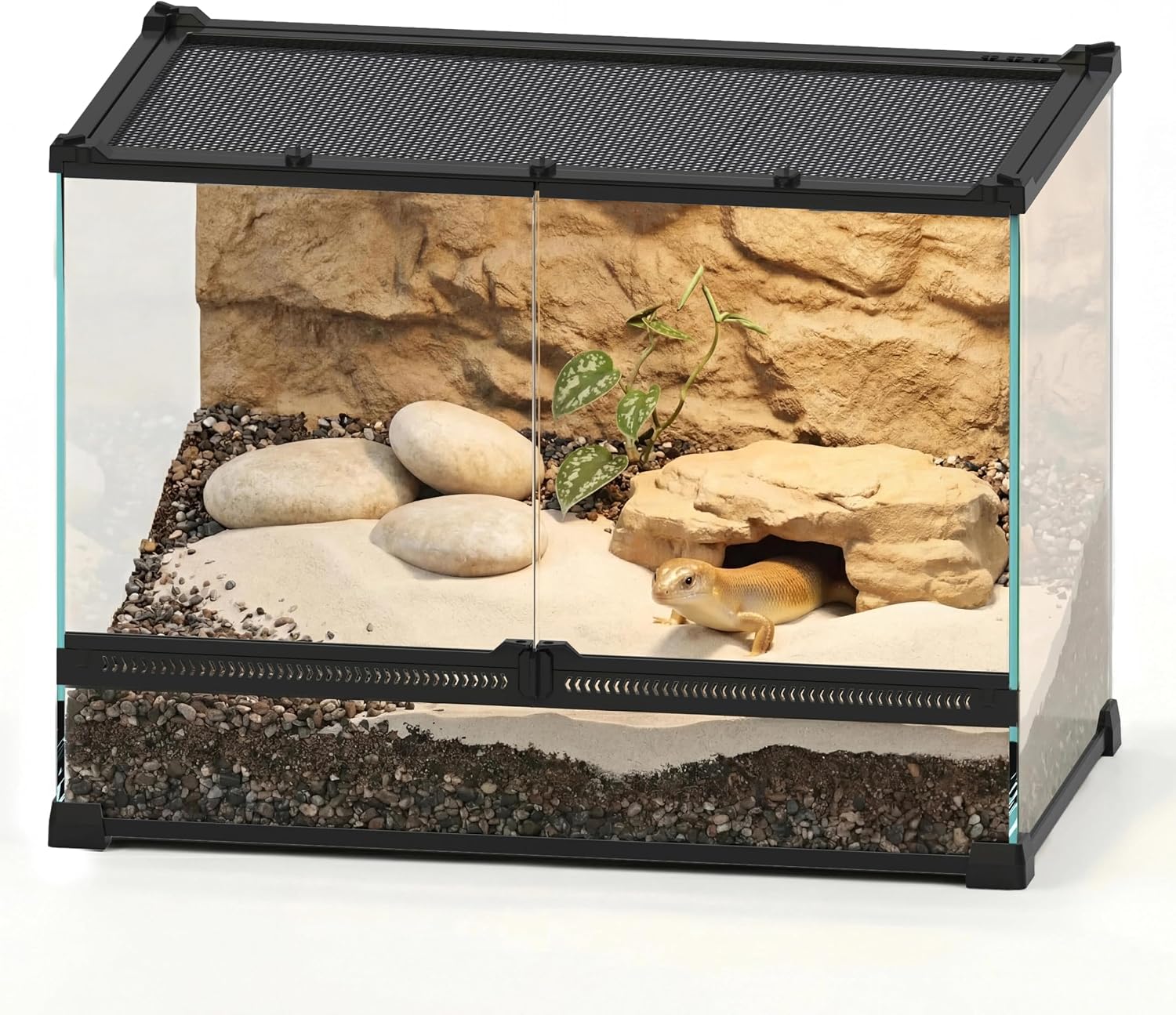 20″x12″x14″ Reptile Terrarium, Double-Door Glass Terrestrial Vivarium for Small Desert Reptiles Such as Sandfish Skinks, with Lock, Cable Port & Waterproof Deep Base Below Front Doors