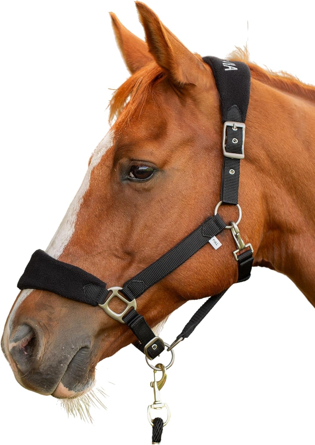 Equinavia Saga Adjustable Fleece Padded Horse Halter with Breakaway Fuse