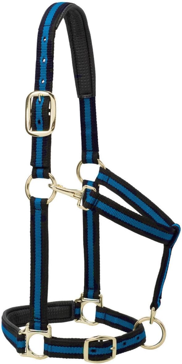 Weaver Leather Padded Adjustable Nylon Horse Halter, Blue, 1″ Large Horse