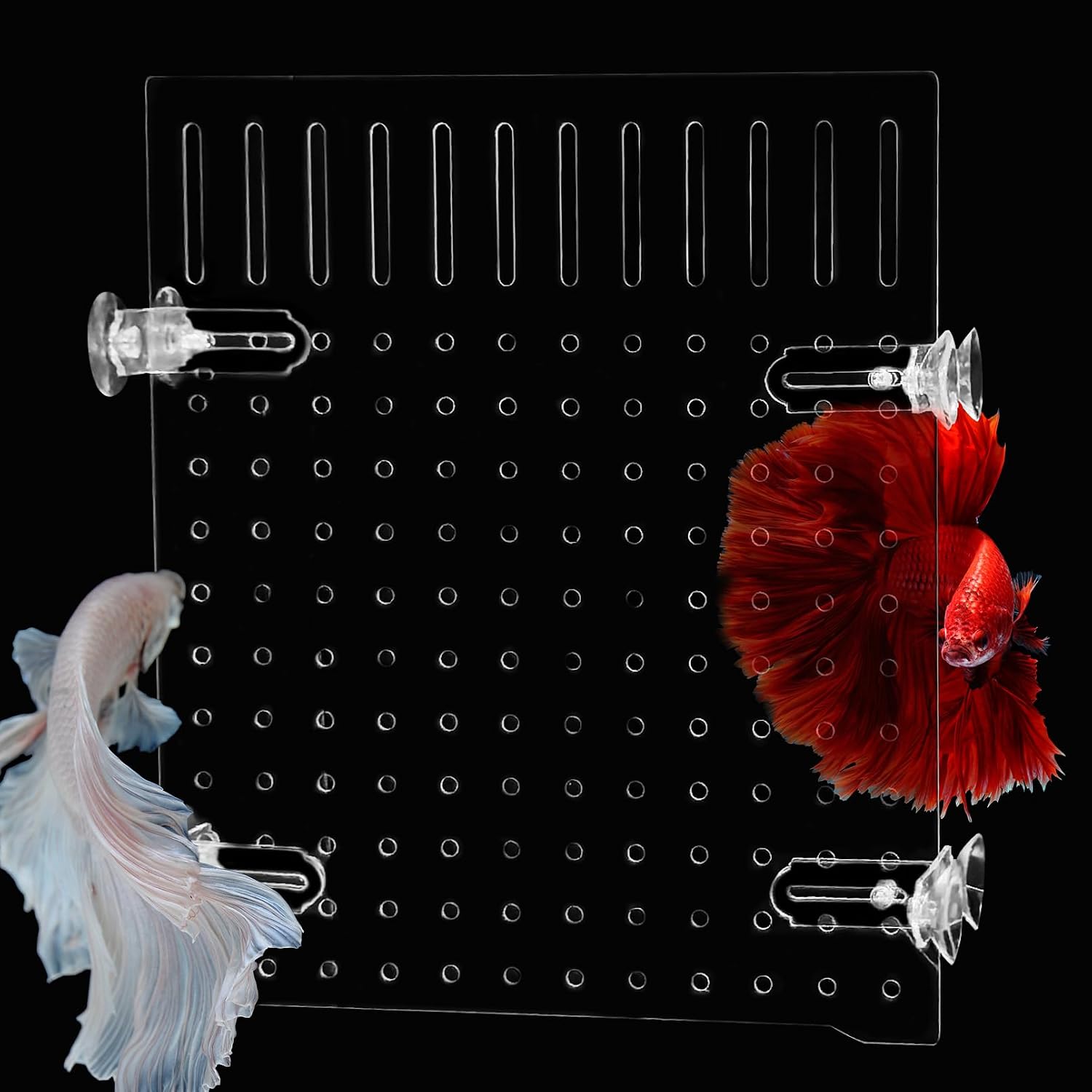 PINVNBY Fish Tank Divider Size: 30 x 25 cm/11.81 x 9.84 in Acrylic Aquarium Divider with 8 PCS Suction Cups, Transparent Fish Tank Separator for Betta Fish