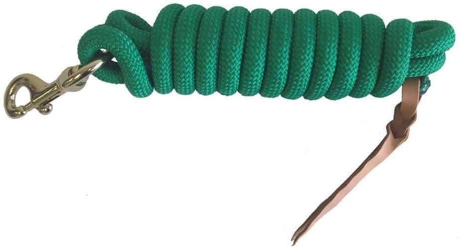 Formay Cowboy Horse Lead Rope 10′ x 5/8″ Leather Popper Nylon Brass Bolt Snap Green
