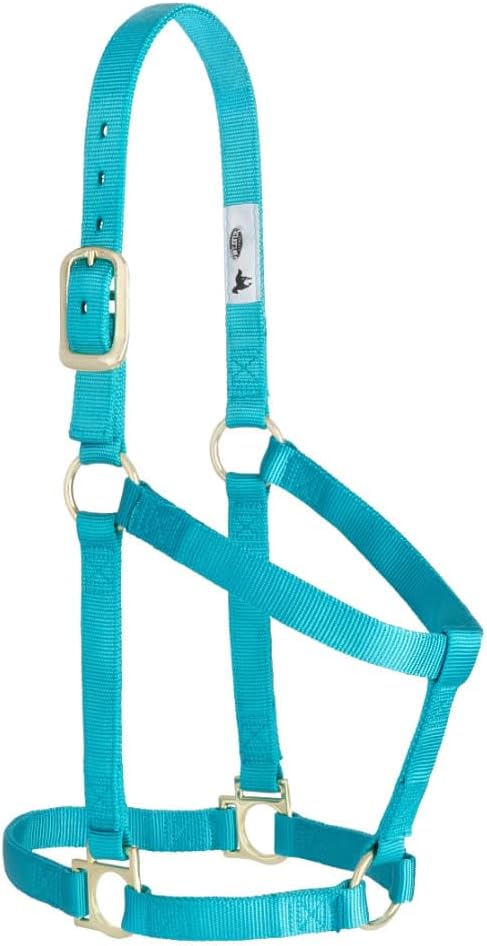Weaver Equine Nylon Horse Halter, Comfort Double-Ply Webbing, Basic Non Adjustable Halters for Horses, Equine Tack,Average Size, Turquoise