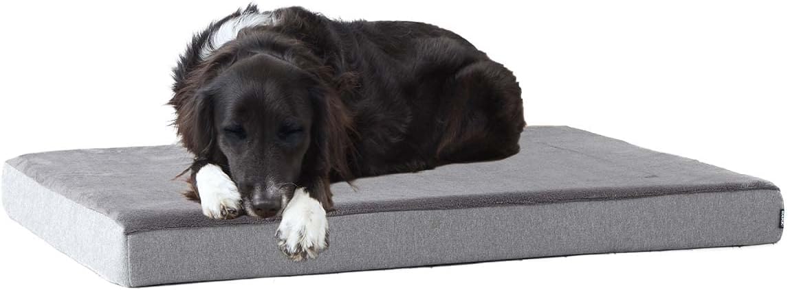BarkBox Orthopedic Dog Bed – Large