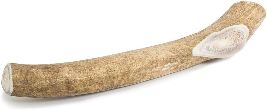 Prairie Dog Pet Products Deer Large Antler Treat, 8-9″