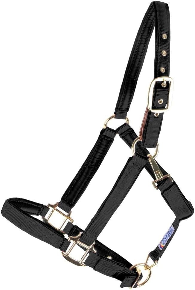 Dura-Tech Deluxe Fully Padded Breakaway Horse Halter | 1” Double Ply Nylon Web Overlay | Heavy-Duty Hardware | Semi Custom Fit | 3-Point Cheek Attachment