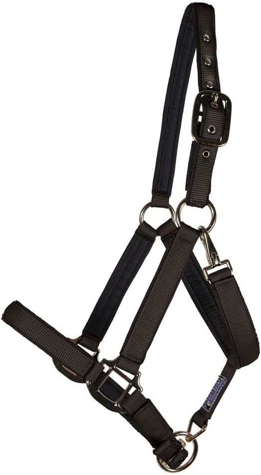 Dura-Tech Fully Padded Nylon Horse Halter | Horse Halter Designed Avoid Rubs | Adjustable Halter Horse Crown and Curb | 1 Double Ply Nylon | Halters for Horses