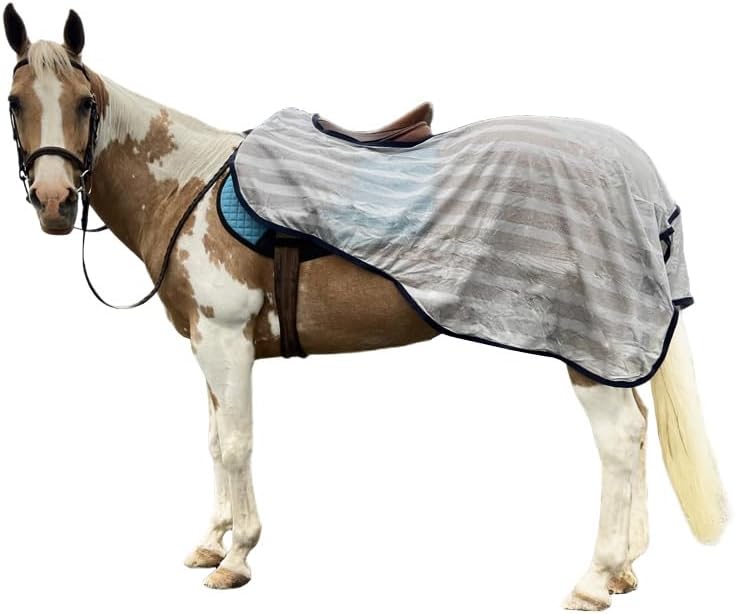 Lite & Airy Quarter Sheet