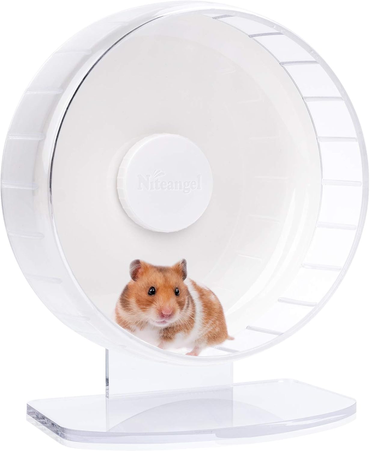 Niteangel Super-Silent Hamster Exercise Wheels: Quiet 10 inch Running Wheel