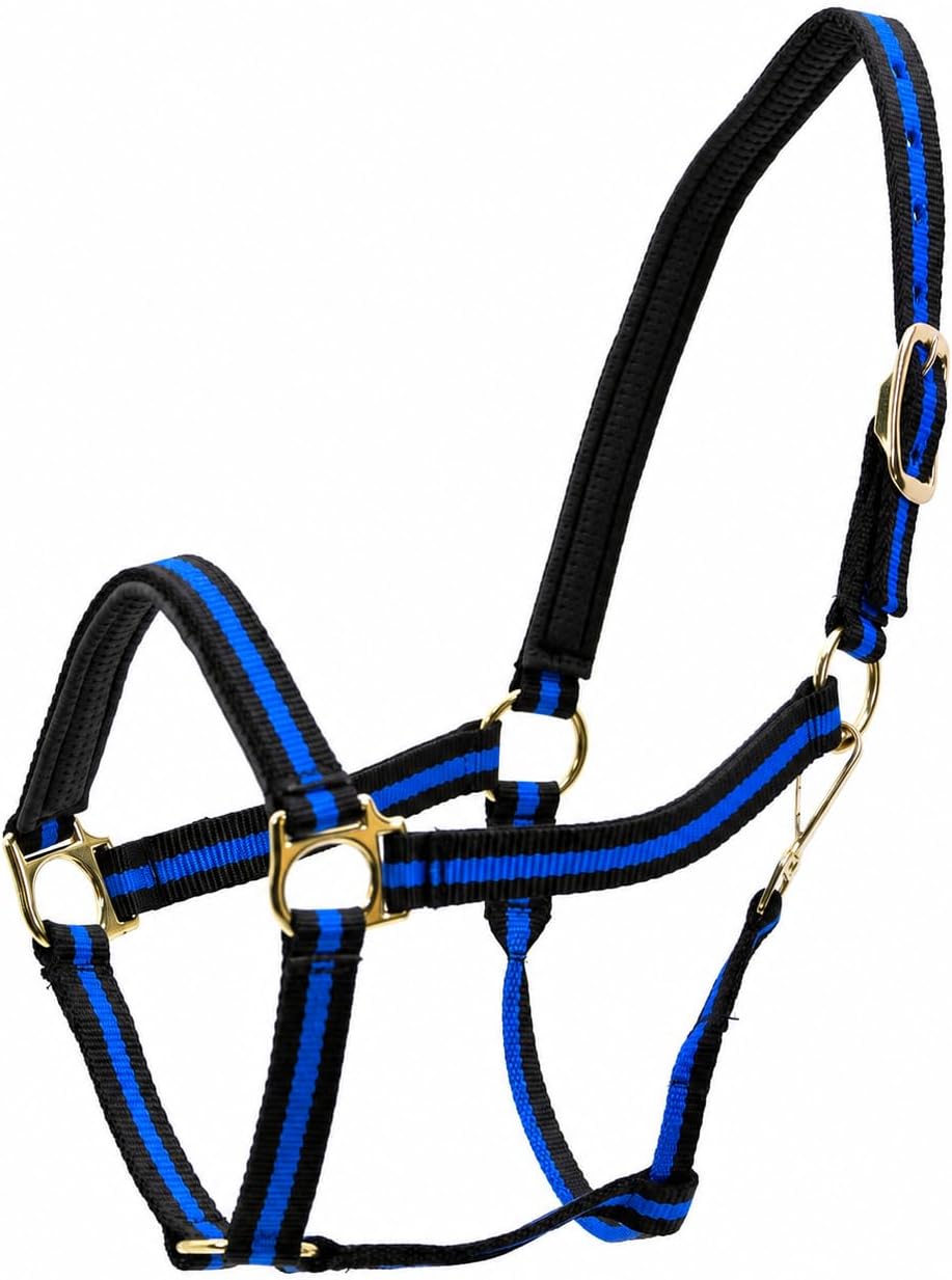 Jeffers Experience Superior Comfort and Control with The Padded Halter | A Premium Equine Accessory Designed for Durability and Convenience