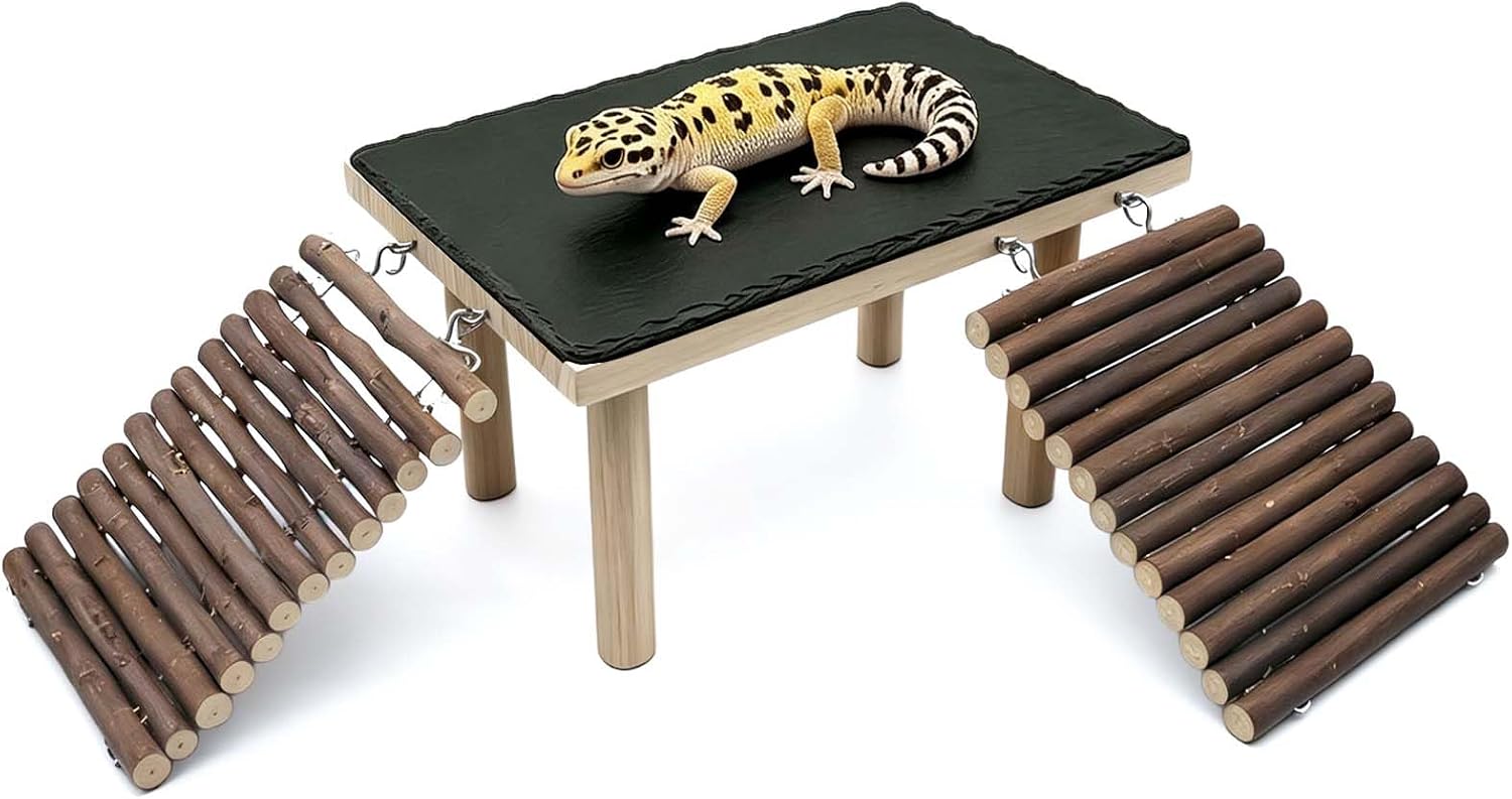 Bearded Dragon Basking Platform with Climbing Ramp,Reptile Basking Rock,S