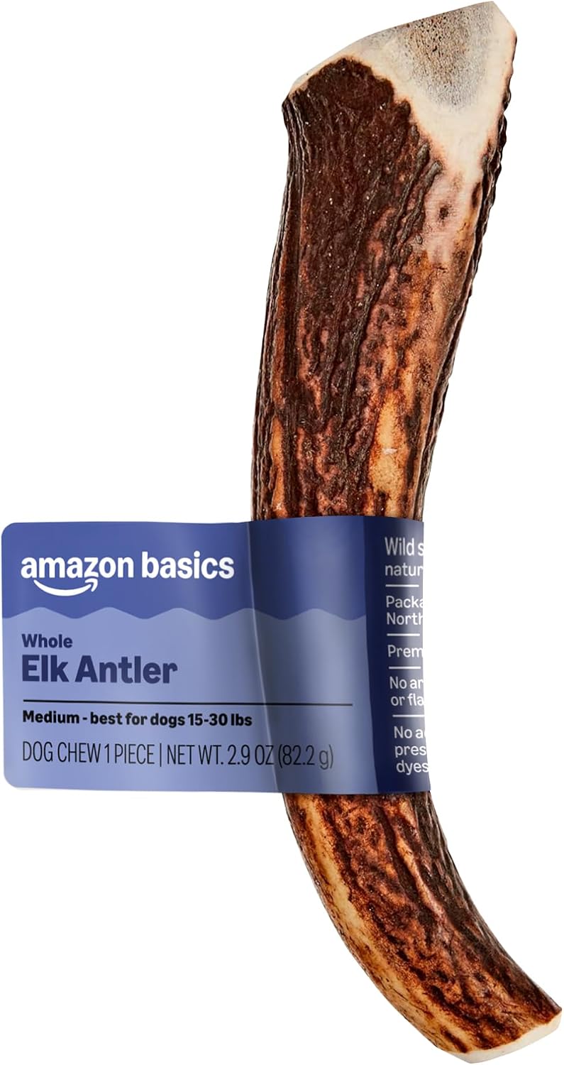 Amazon Basics Dog Elk Antler Chew, Naturally Shed, Whole, Medium 6-7.5 inches, Long Lasting for Aggressive Chewers, Best for Dogs 15-30 lbs, 2.90 Ounce (Pack of 1) (Previously Wag)