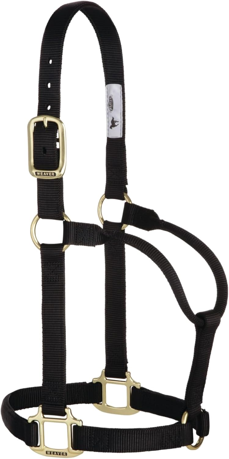 Weaver Leather Original Non-Adjustable Nylon Horse Halter, Large, Black