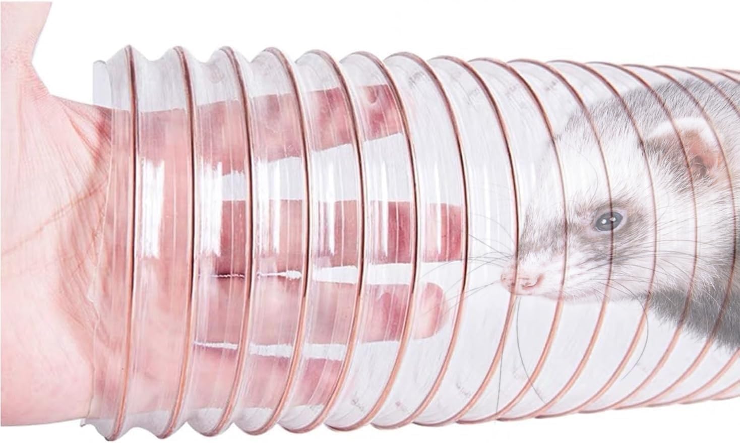 Products Transparent Thru-Way – 86in Interactive Tunnel for Ferrets F Rat Guinea Pig Ratand Small Pets, Tunnels and Tubes Flexible Design Allows for Better Observation of Pets Playing and Exploring