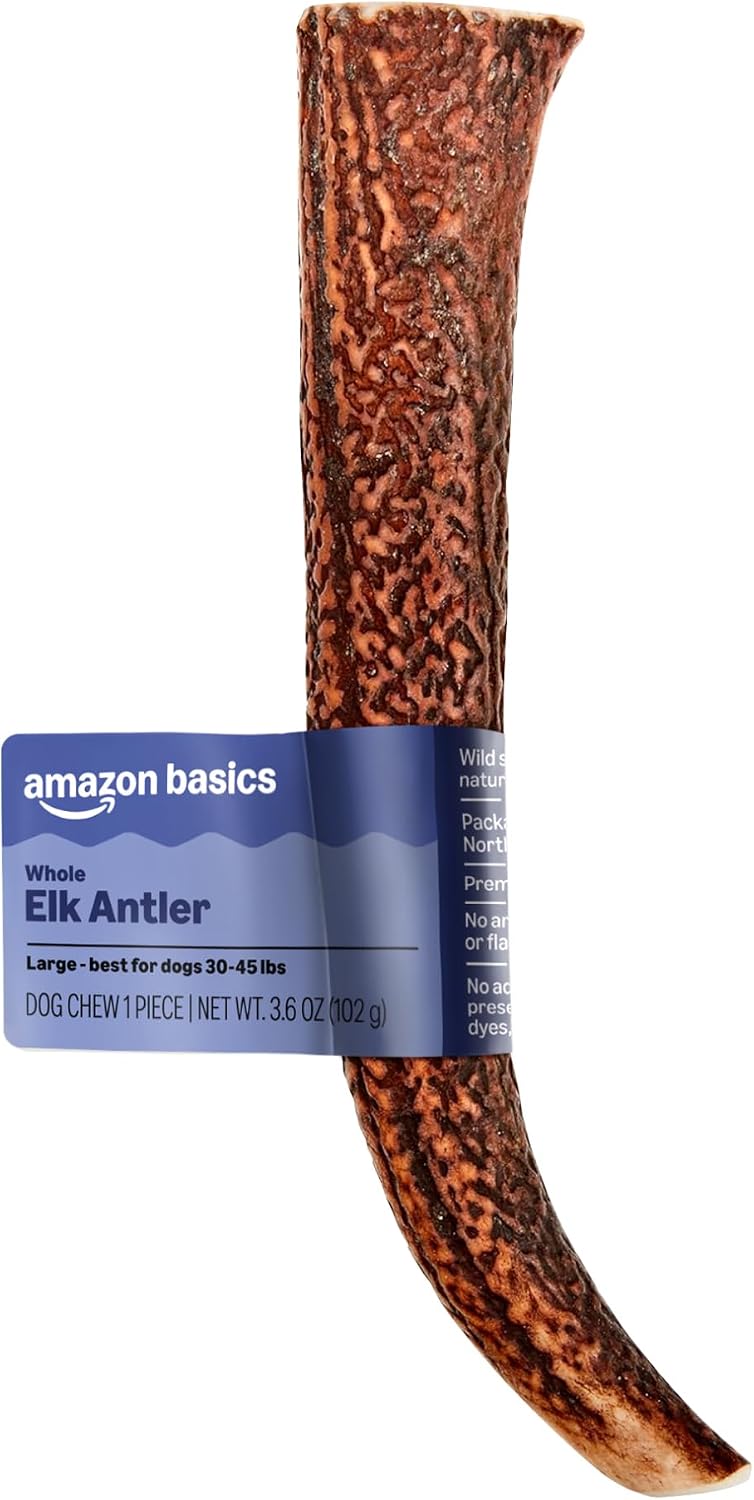 Amazon Basics Dog Elk Antler Chew, Naturally Shed, Whole, Large 8-9.5 inches, Long Lasting for Aggressive Chewers, Best for Dogs 30-45 lbs, 3.60 Ounce (Pack of 1) (Previously Wag)