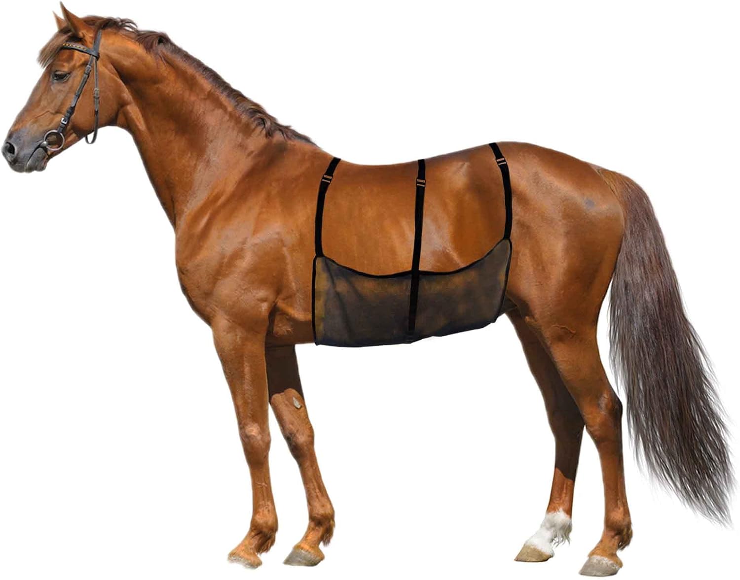 Horse Belly Guard Horse Ride Fly Sheet Mesh Belly Protector for Riding Stable Setting Equine Guard Sheet