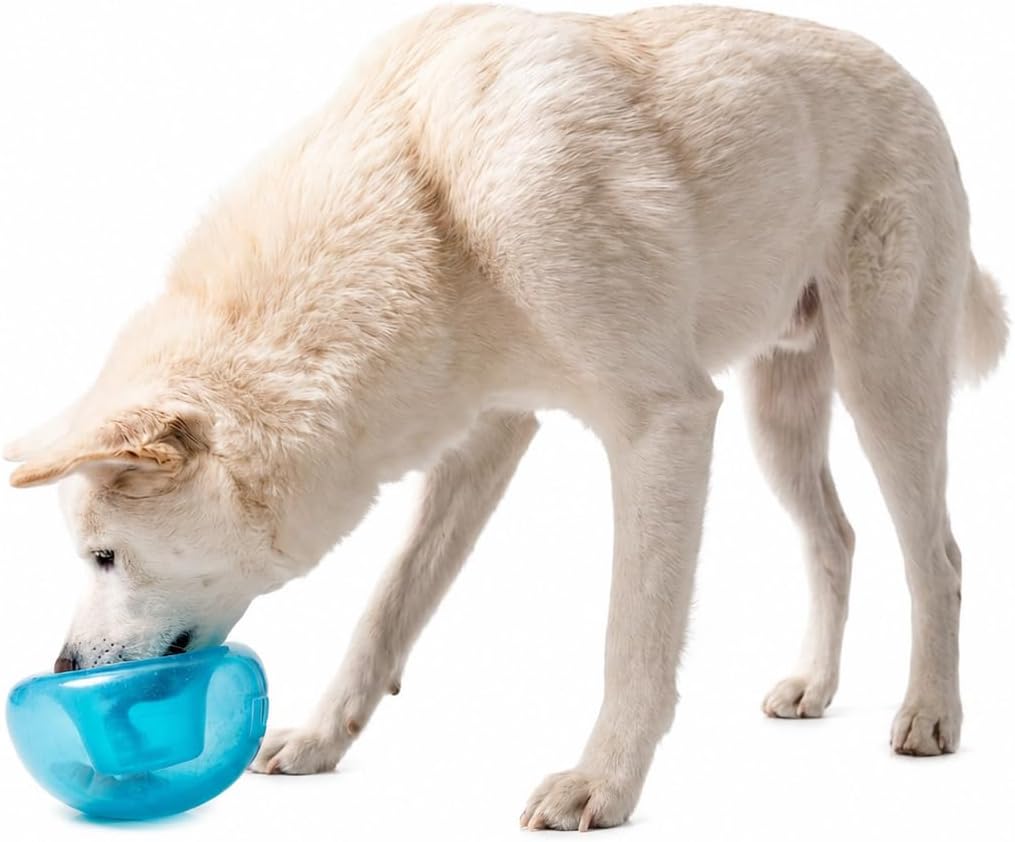 Outward Hound Snoop Interactive Treat Dispensing Dog Toy, Blue, 5″