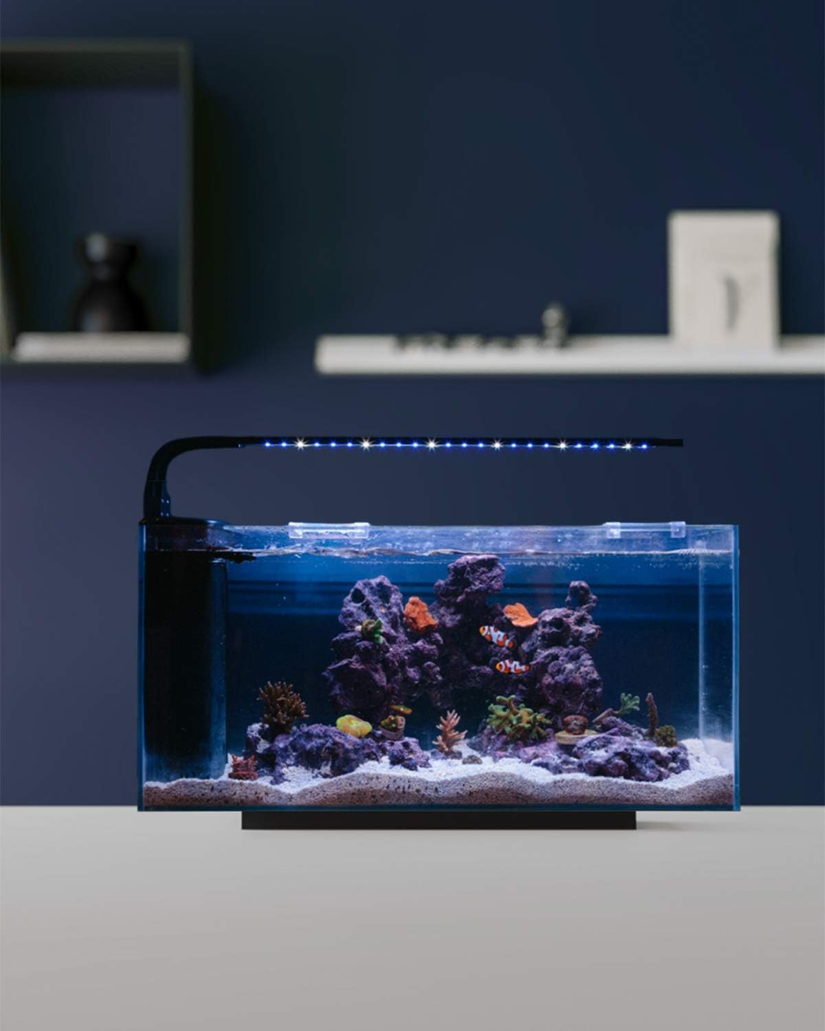 JBJ Rimless Desktop 10 gallon Flat Panel Peninsula with 9W Lyra LED