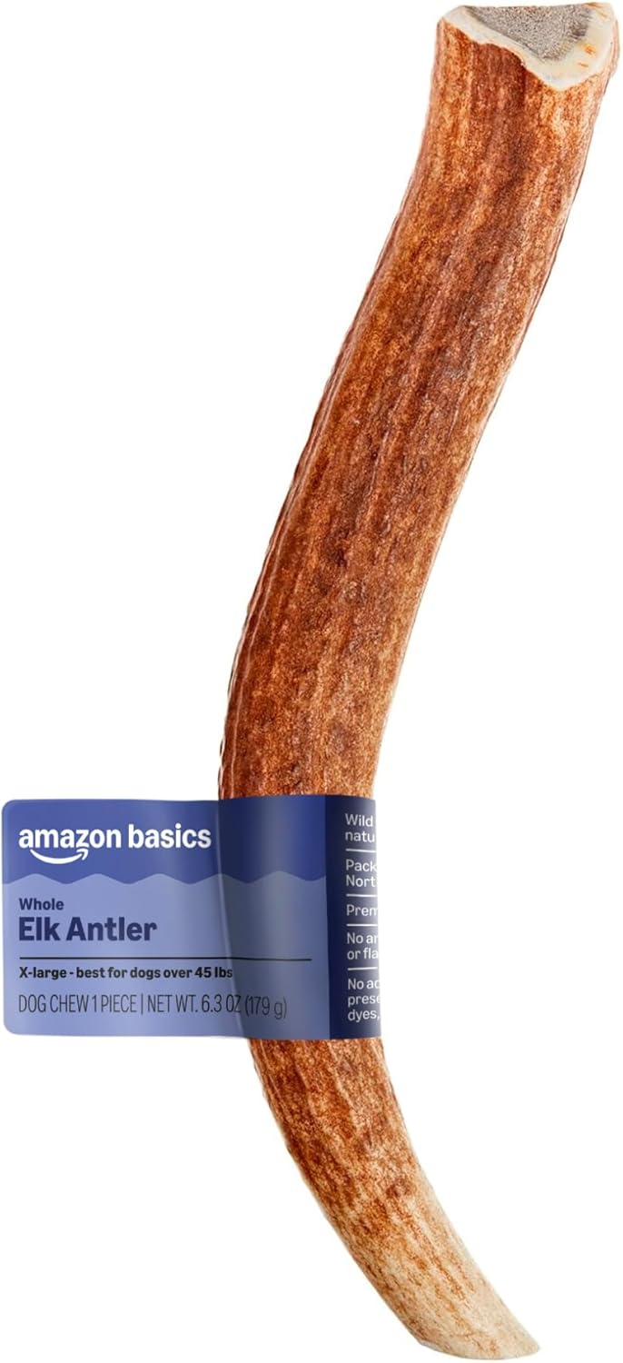 Amazon Basics Elk Antler – Whole – Long Lasting for Aggressive Chewers – X-Large 9.5-10.5 inches (Best for Dogs Over 45 lbs) (Previously Wag)