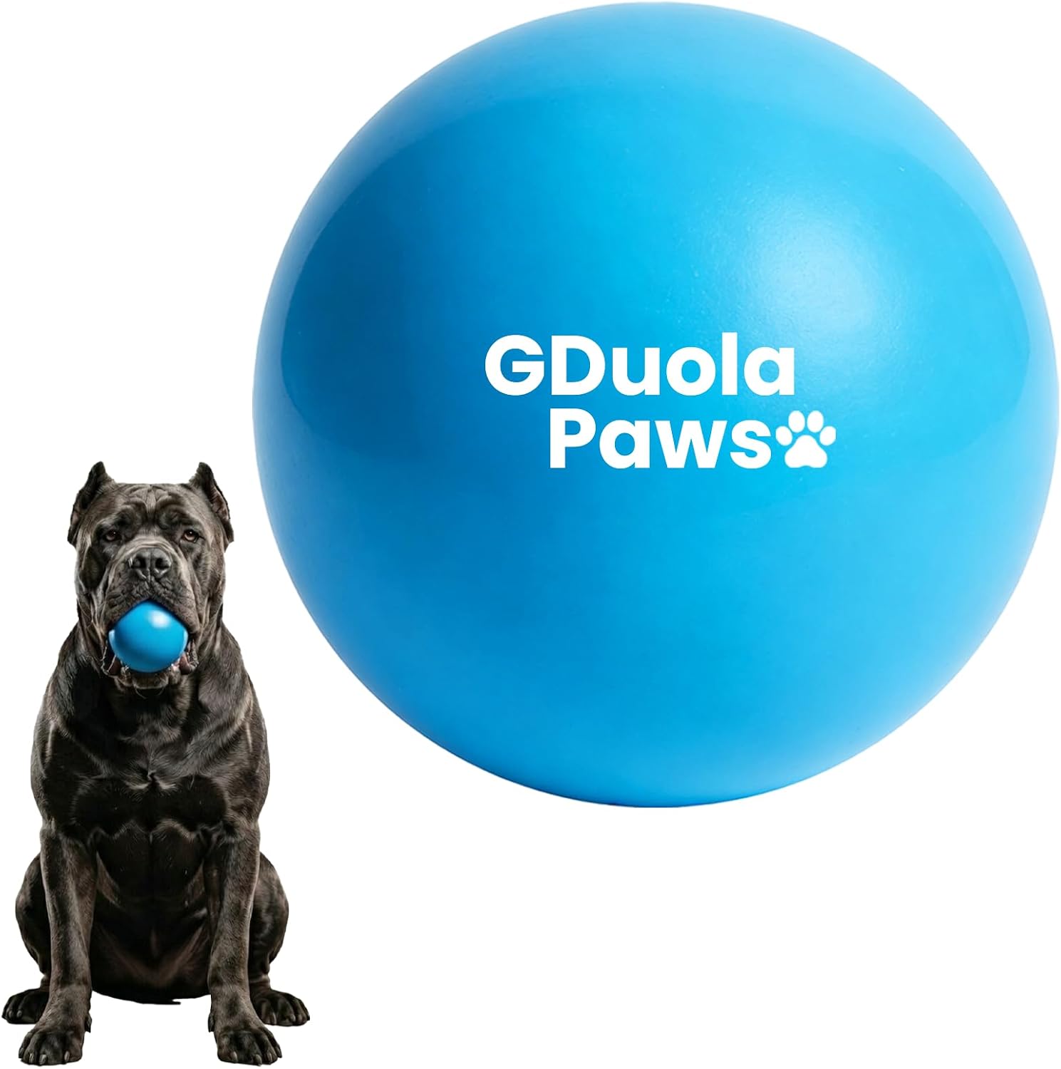 Natural Rubber Ball for Dogs, Solid Chew Toy, 2.8″ Blue 8.8oz