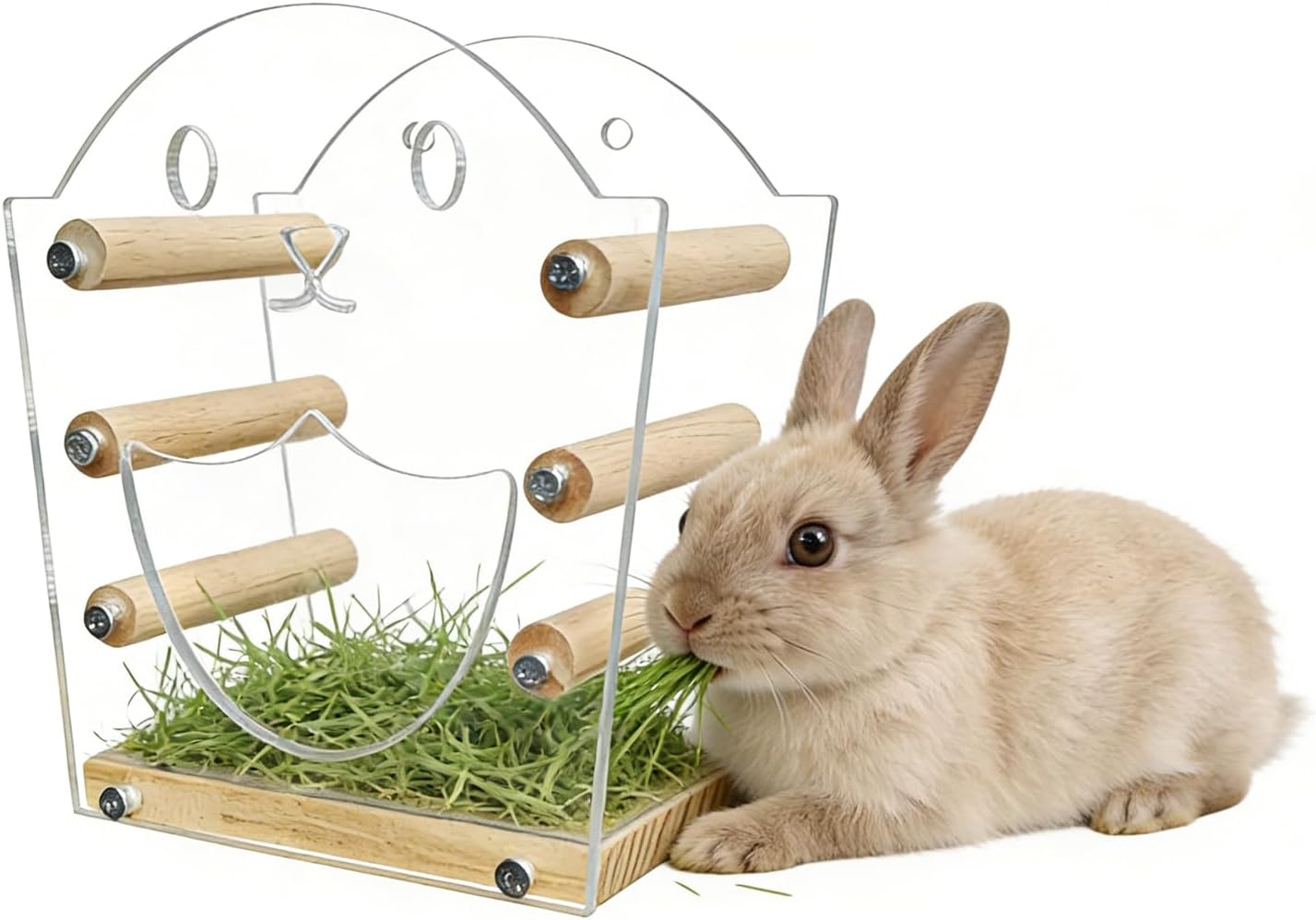 Rabbit Hay Feeder for Guinea Pigs, Natural Wood & Acrylic