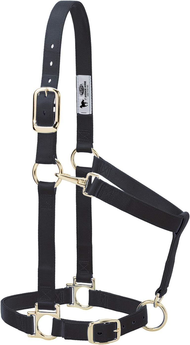 Weaver Equine Nylon Horse Halter, Large Horse, Padded & Adjustable, 1 in