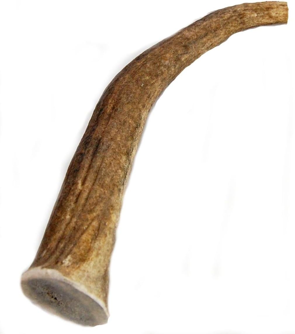 Big Dog Antler Chews Elk Antler Dog Chew, Extra Large Tine, 8-12 inches, XL – Great for Large Dogs and Puppies