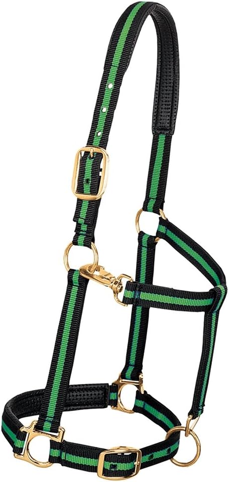 Weaver Leather Padded Adjustable Nylon Horse Halter, Green, 1″ Large Horse