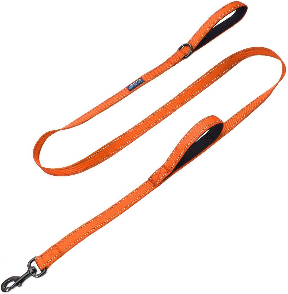 Max and Neo Double Handle Traffic Dog Leash – Reflective, Donates to Dog Rescue (Orange, 6 FT)