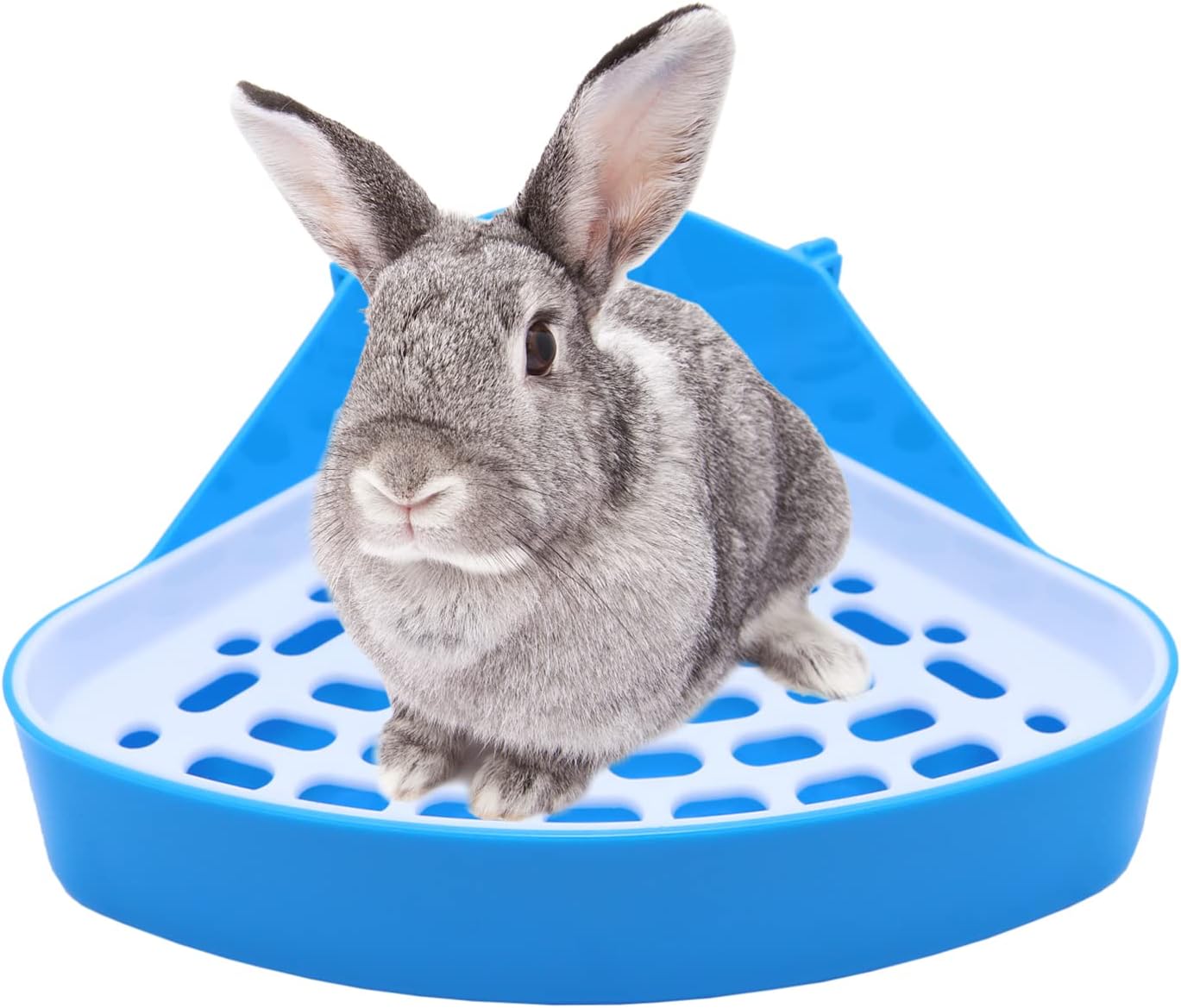 Litewoo Rabbit Litter Box Toilet Bunny Corner Potty for Guinea Pigs, Blue