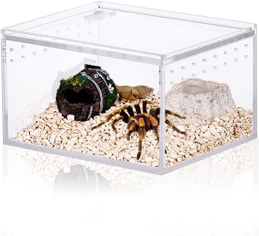 Small Acrylic Reptile Enclosure, No Assembly Small Reptile Breeding Box for Insect Tarantula Hermit Crab Jumping Spider (4×3.3X2.5 in)