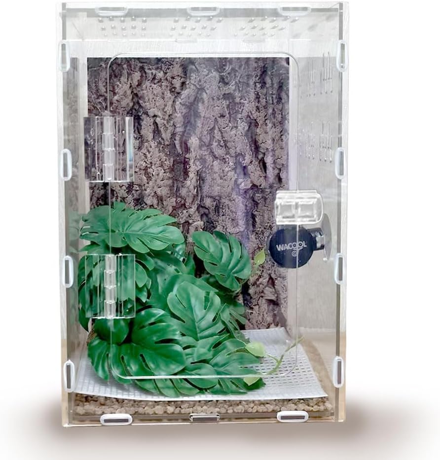 Jumping Spider Enclosure, 12x8x6 inch Large Acrylic Terrarium Reptile Enclosure Tank with Front Opening Door for Jumping Spider Tarantula Isopod Invertebrates Gecko Snake
