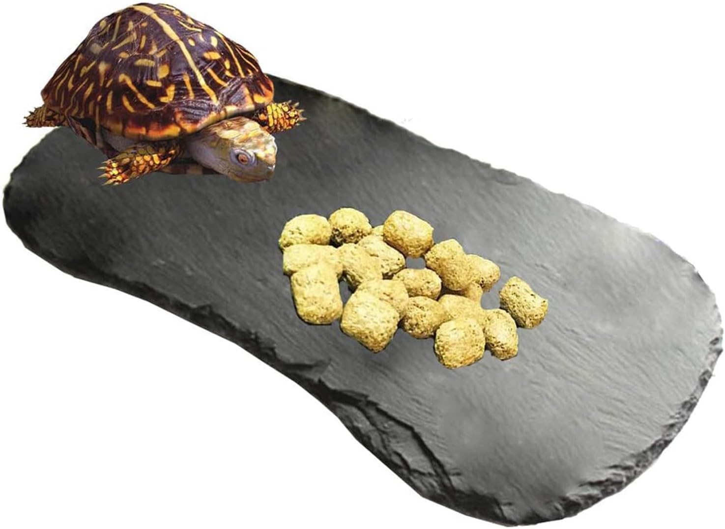 Tfwadmx Reptile Basking Platform,11”x5.5” Tortoise Rock Plate Feeding Food Bowl Dish Feeding Slate Turtle Bathing Resting Platform for Lizard Gecko Bearded Dragon Chameleon Snake Frog