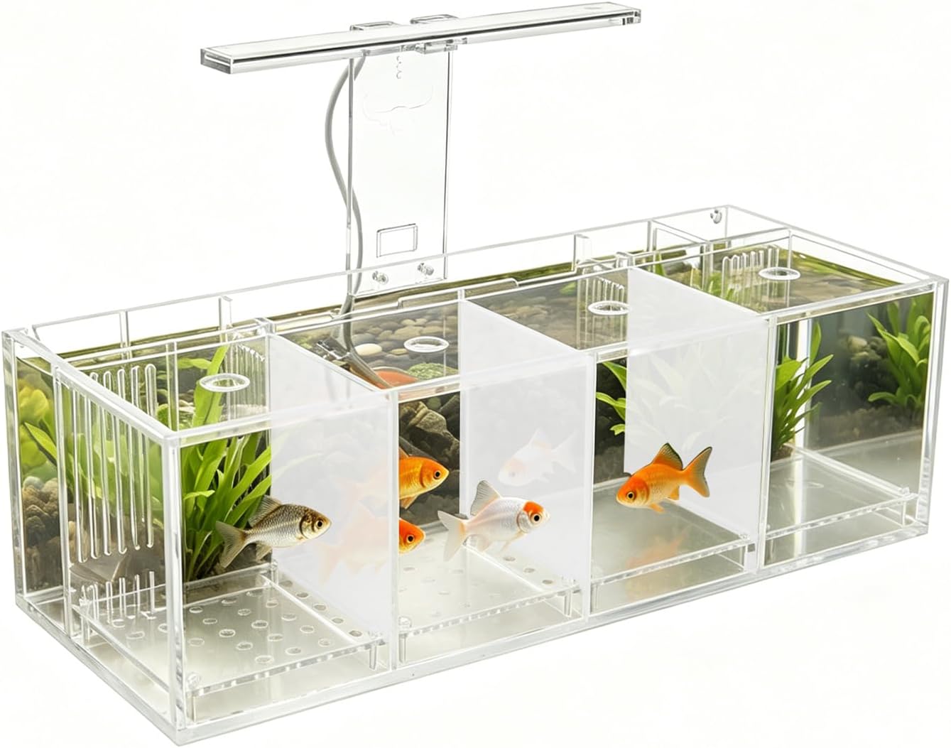 4-Compartment Betta Fish Tank, Desktop Aquarium with USB Water Pump