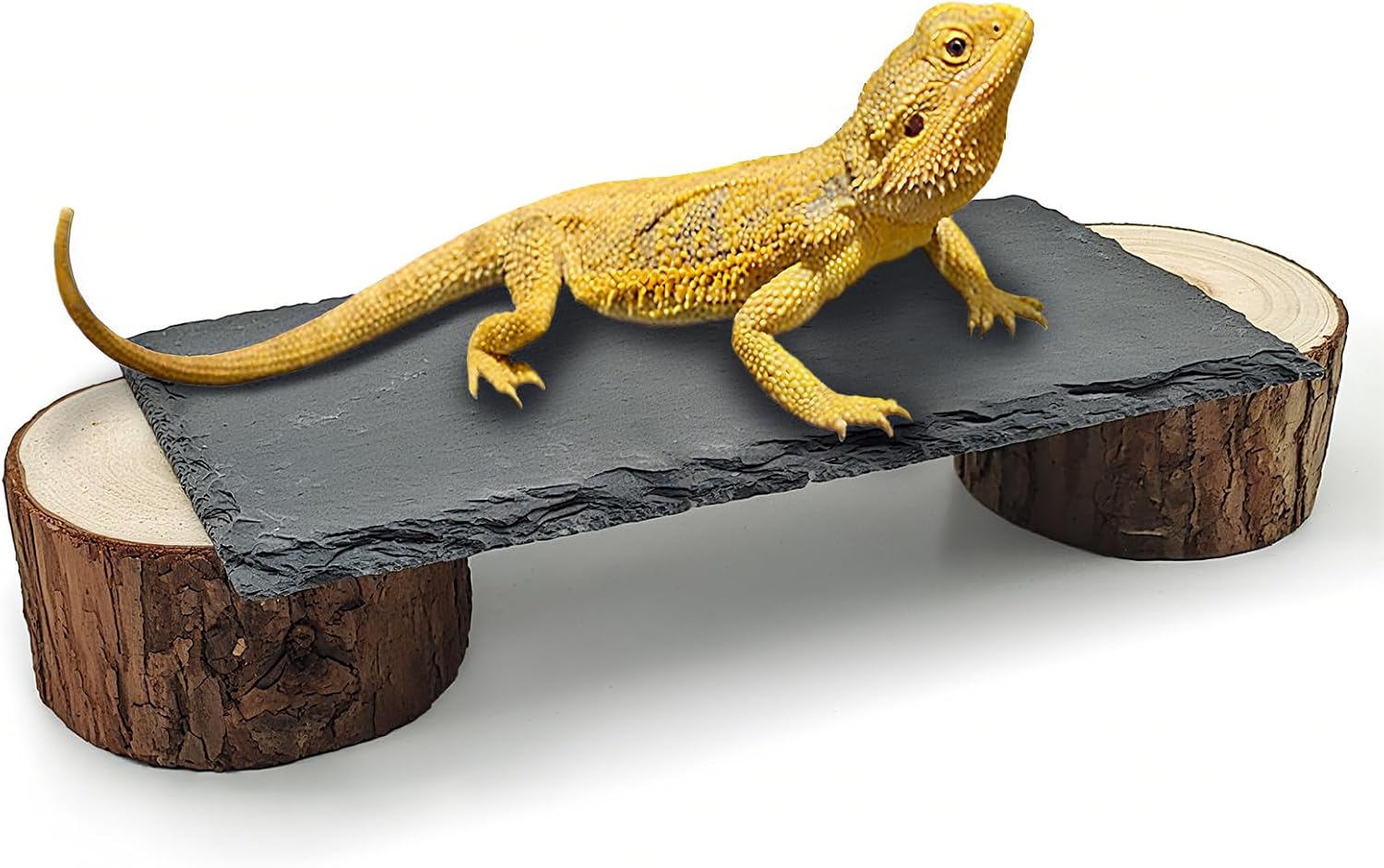Bearded Dragon Basking Platform,Reptile Slate Basking Rocks,Small