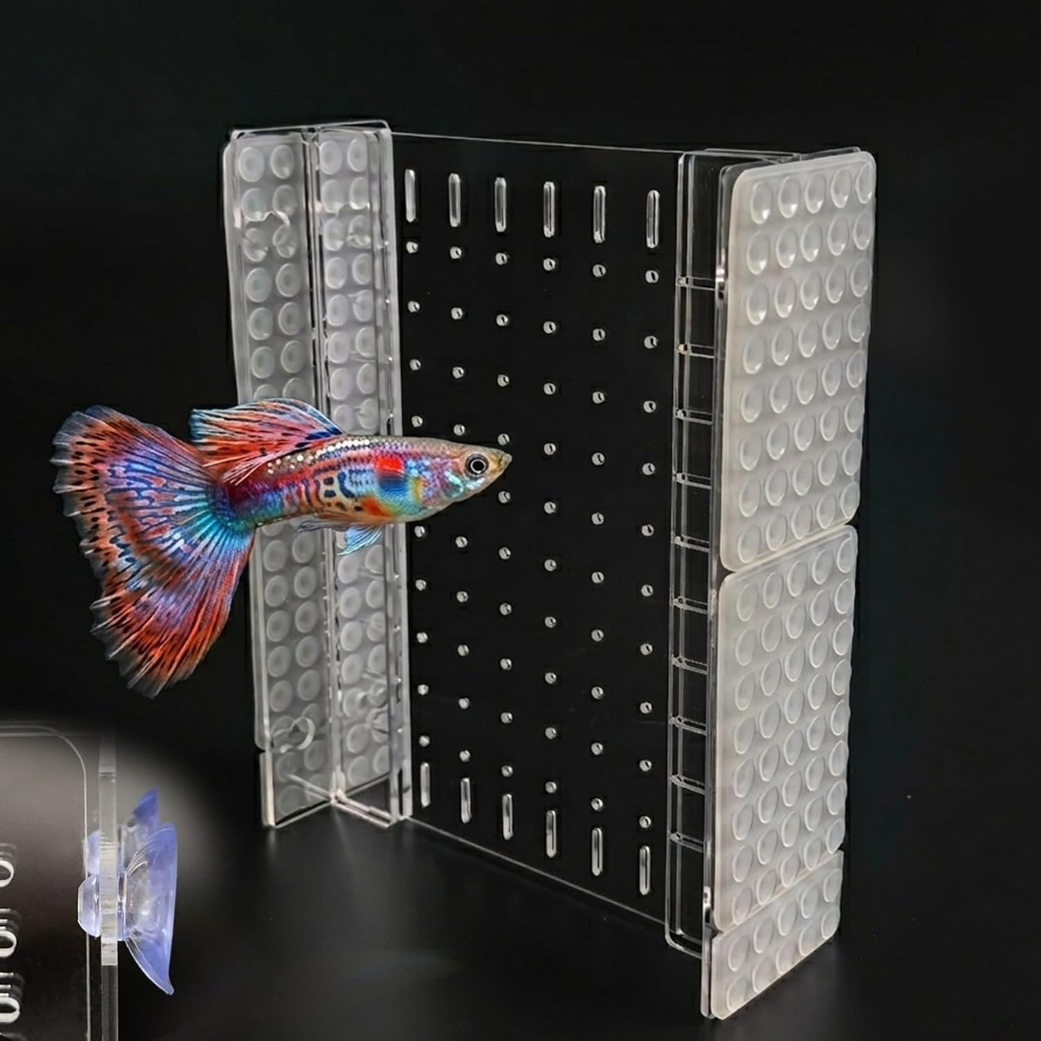 Fish Tank Separator 5 Gal, Acrylic Aquarium Divider with Suction Cups