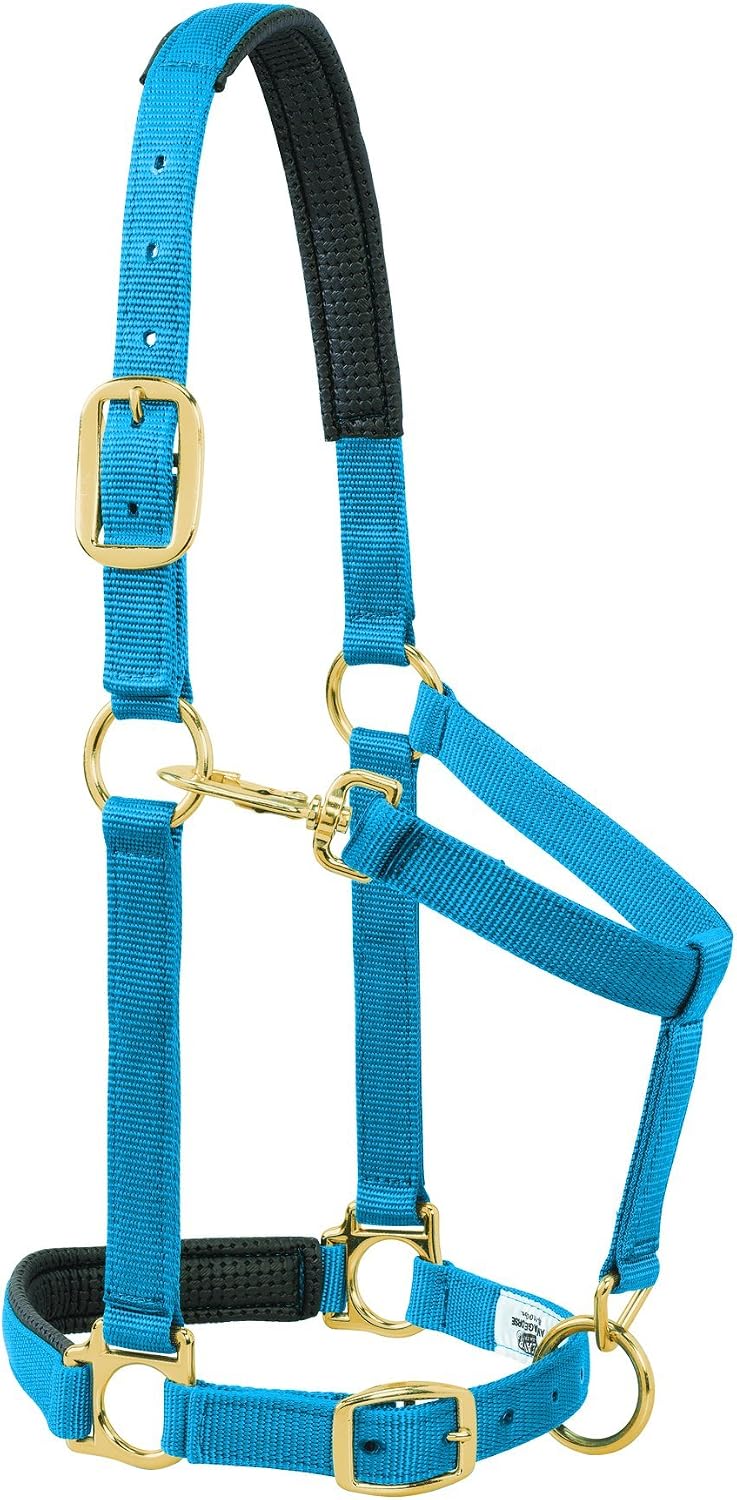 Weaver Leather Padded Adjustable Nylon Horse Halter