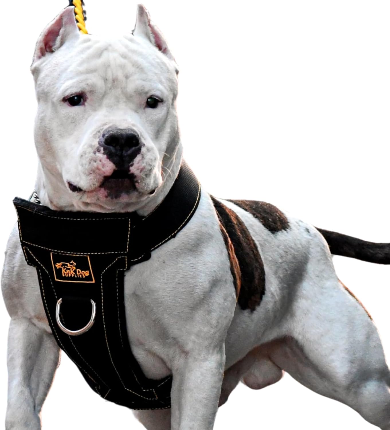 KNK | Heavy Duty Dog Harness for Pitbulls, Bullies and Large Breeds – No Pull, Ultra Durable, Soft Padded Chest, Metal Leash Attachment