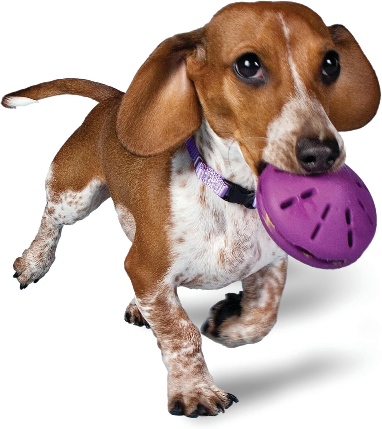 PetSafe Busy Buddy Twist ‘n Treat Dispensing Dog Toy, Small