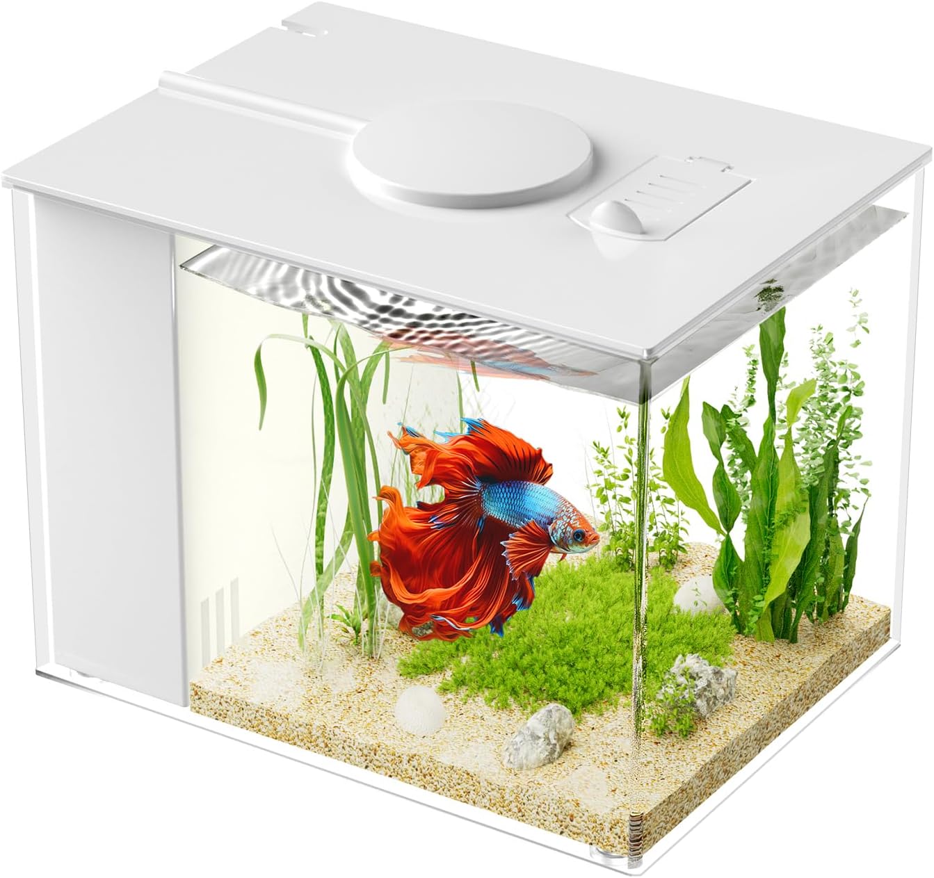 Vehipa 3.7L (1 Gal) Betta Fish Aquarium, Acrylic Small Fish Tank Kit White