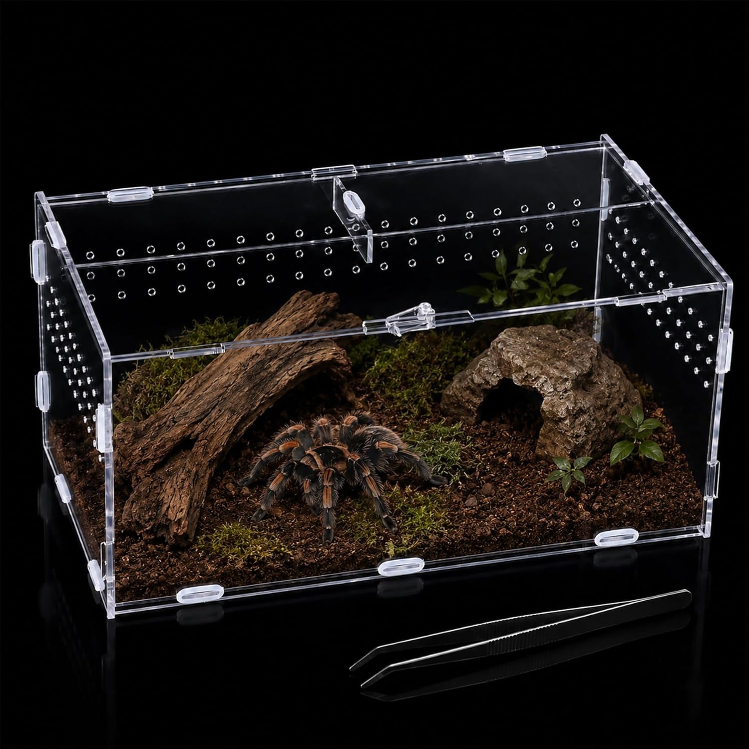 Acrylic Reptile Terrarium 11.8×5.9×7.9in,Reptile Terrarium Cage Tank