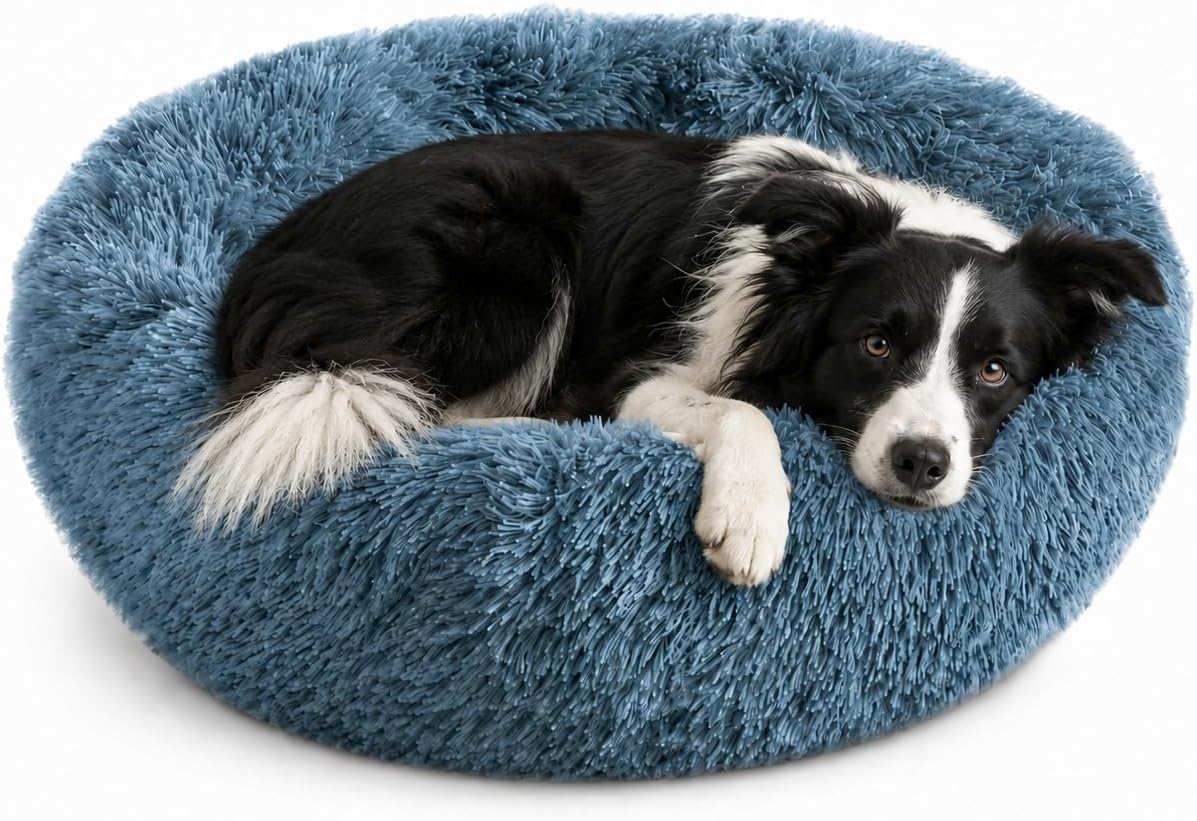 Whiskers & Friends Round Dog Beds for Medium Dogs, Orthopedic, Washable