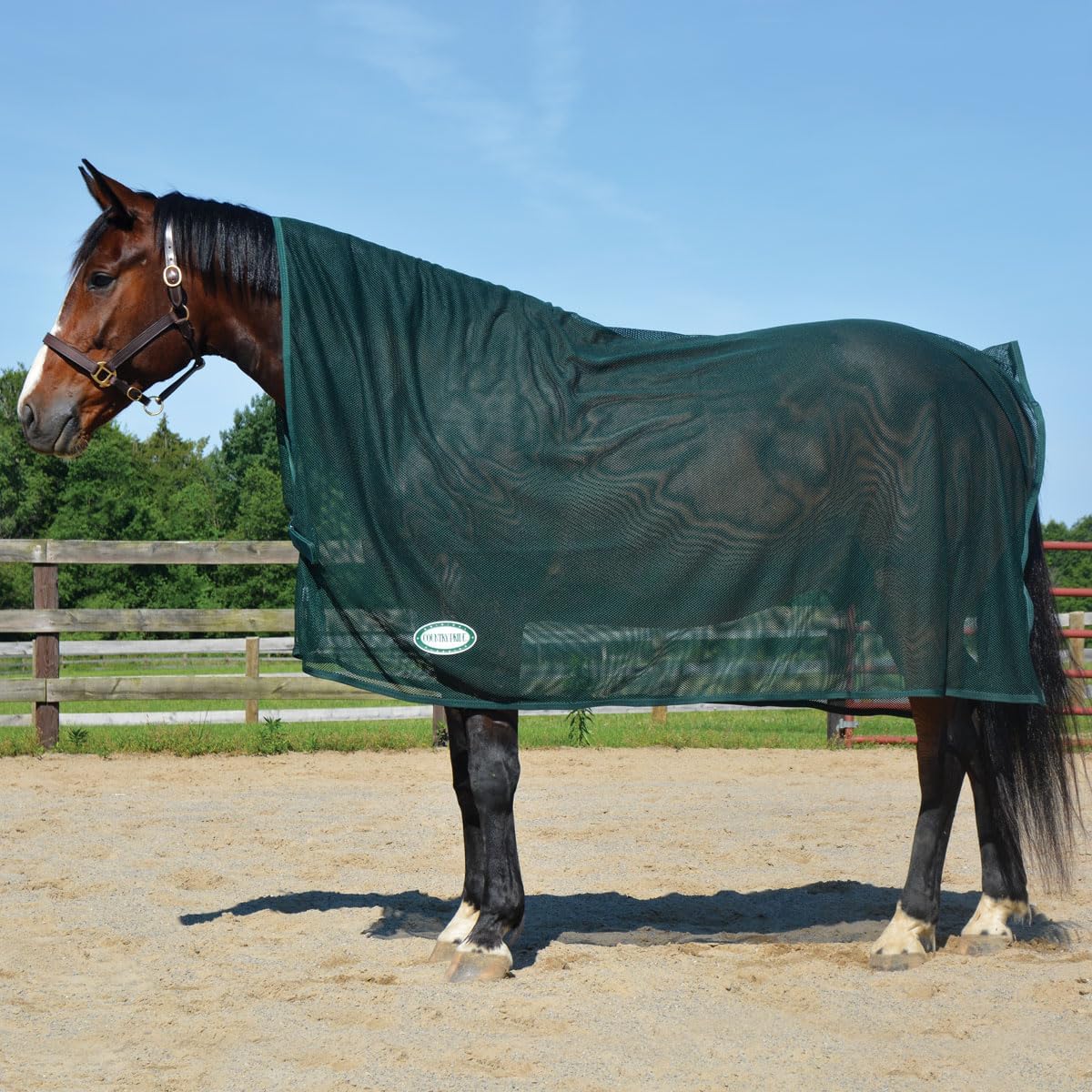 Country Pride Scrim Cooler, Lightweight Mesh Horse Blanket, Breathable Fly Protection, Post-Bath Drying Sheet, 84″ x 90″ Square Style (Green)
